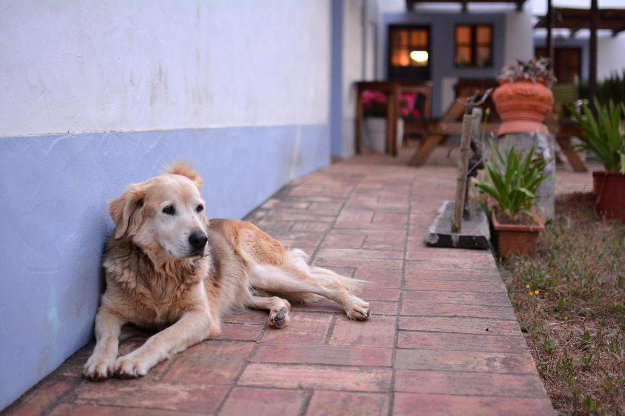 Casas Na Vinha - Monte Da Casteleja, Wine Estate - Eco Turismo Rural Lagos Luaran gambar