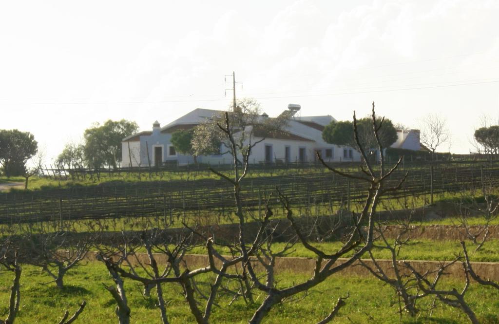 Casas Na Vinha - Monte Da Casteleja, Wine Estate - Eco Turismo Rural Lagos Luaran gambar